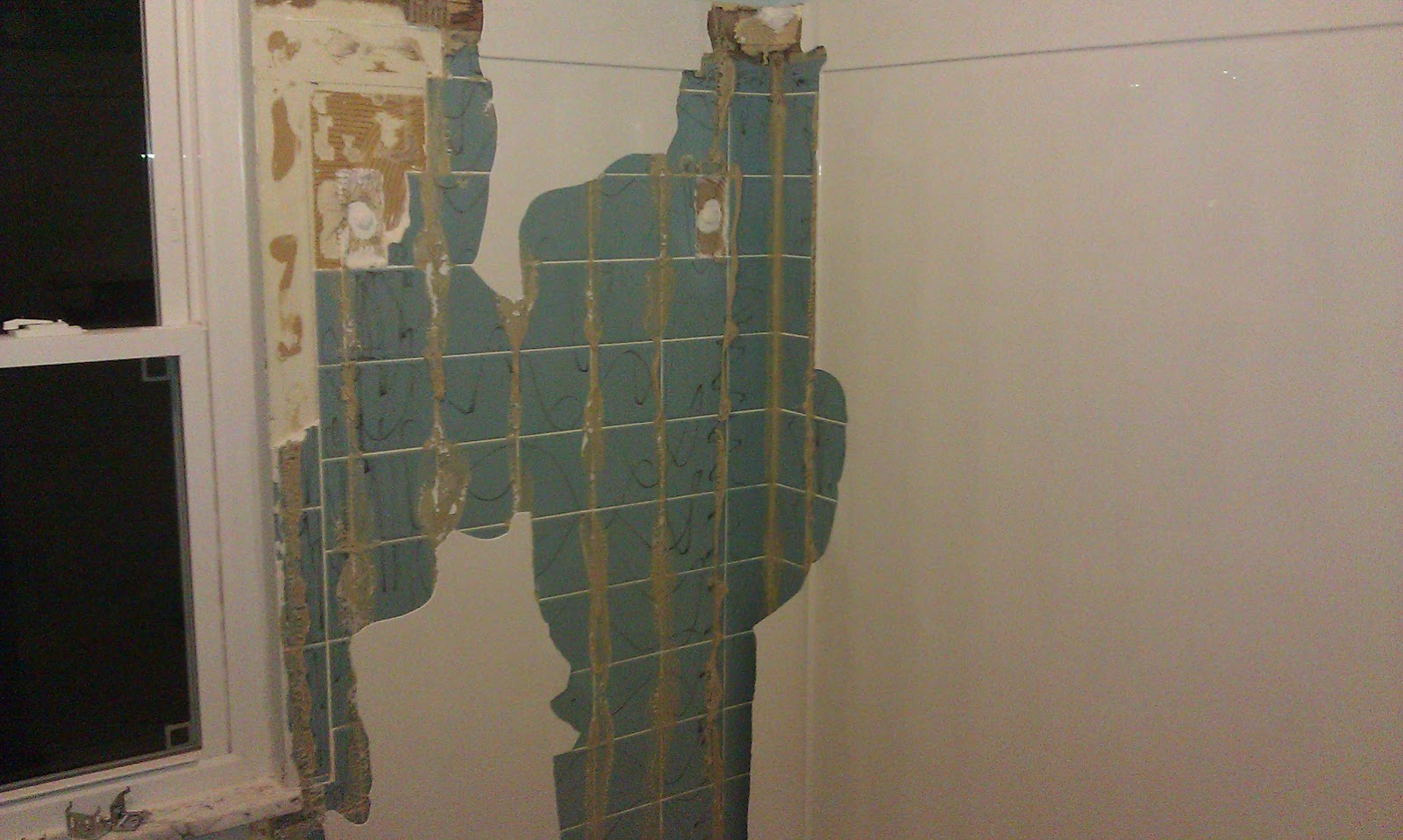 Our Renovation Situation