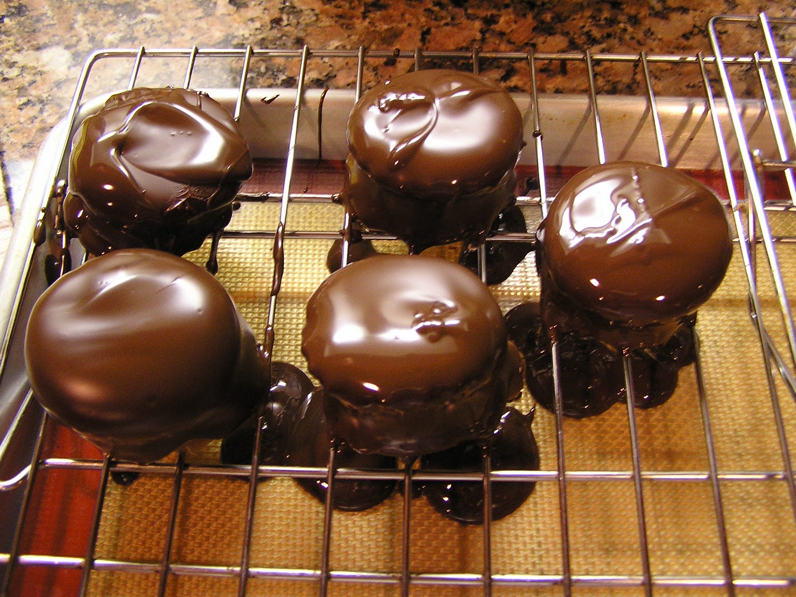 What the Dog Ate First on the First Marshmallows & My 100th Post!