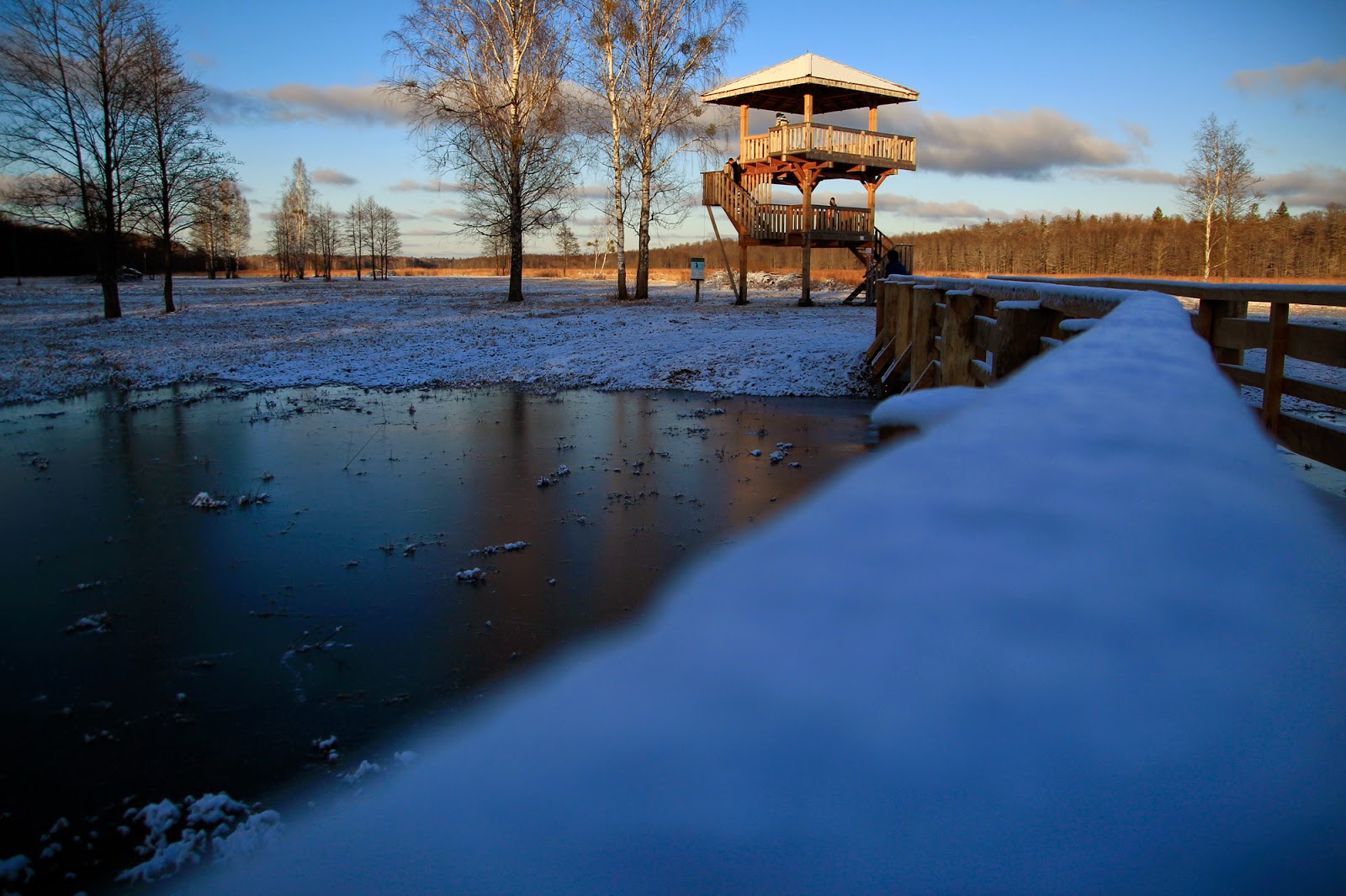 Gwiazdka w Puszczy - Ania w Podróży