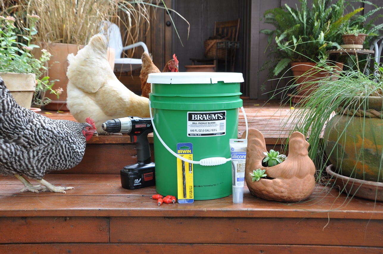DIY: Chicken Waterer | Community Chickens
