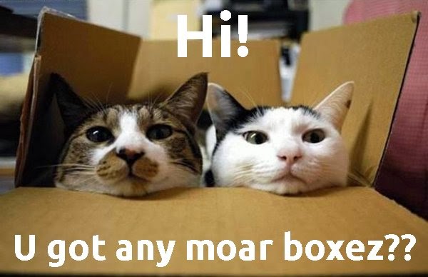 Bildergebnis für cat box meme