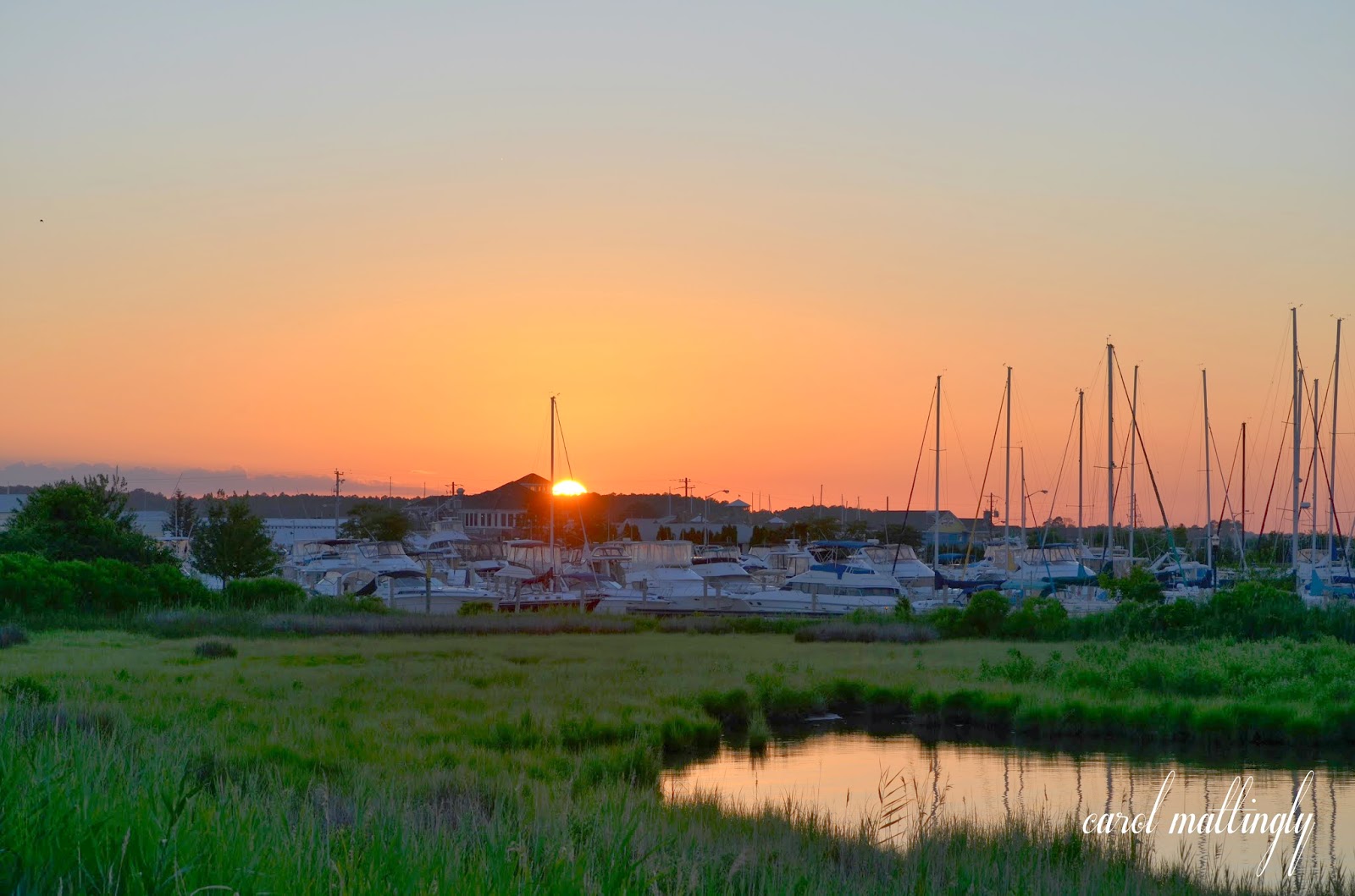 Carol Mattingly Photography Sunset, Kent Island, MD