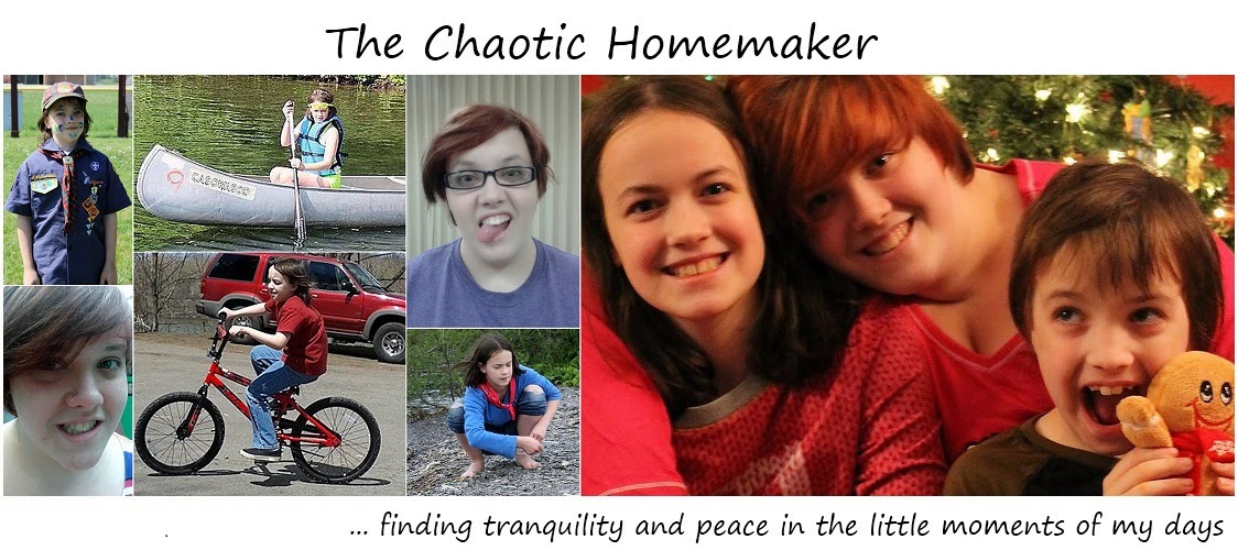 The Chaotic Homemaker