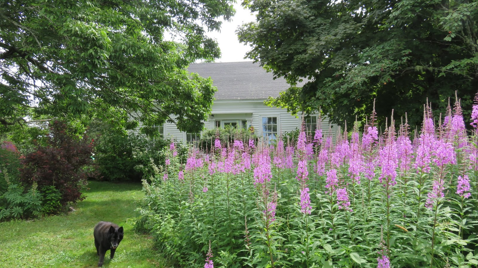 A Campobello Island Home for Sale