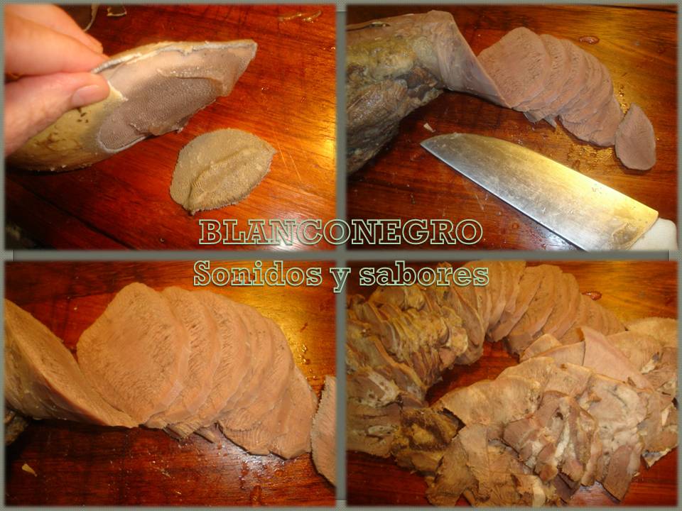 lengua lengua