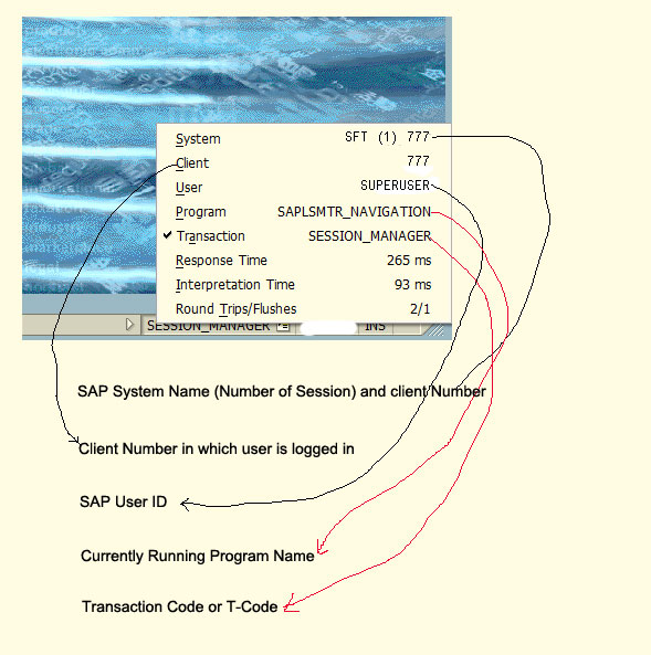 SAP Status Bar