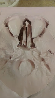 209323_10151465038188849_614164418_o.jpg