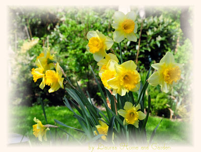 Lauras Home And Garden Der Osterhase