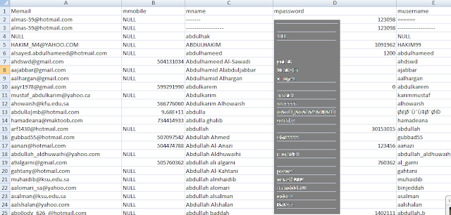 Saudi+Arabia%2527s+King+Saud+University+Database+Hacked
