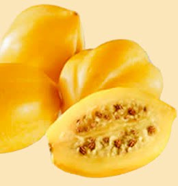 PUSAT OLEHOLEH WONOSOBO CARICA