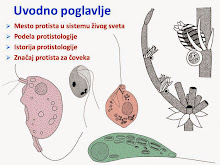 1. poglavlje