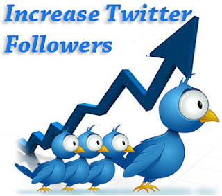 How to Increase Twitter Followers in Successful Way ~ BLOG NEWBIE