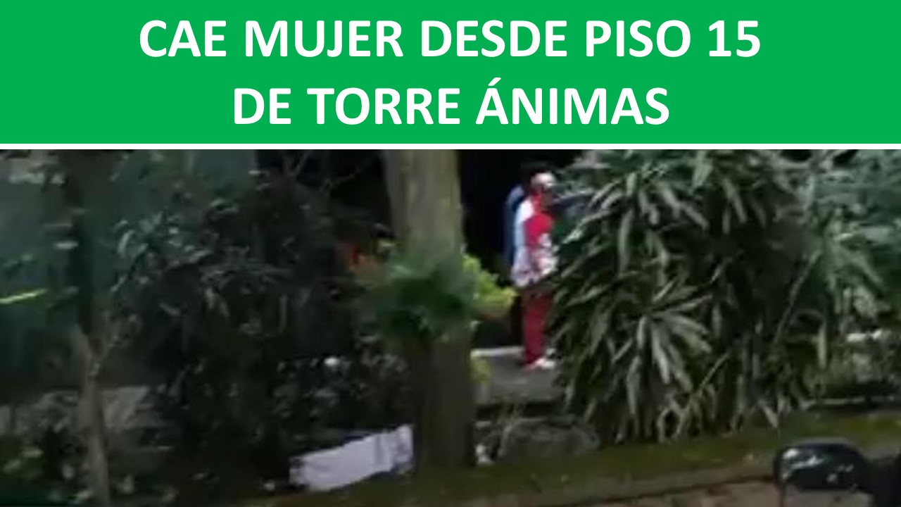 ESDE PISO 15 DE TORRE ÁNIMAS
