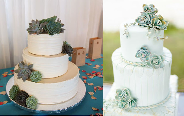 succulents plant wedding cakes