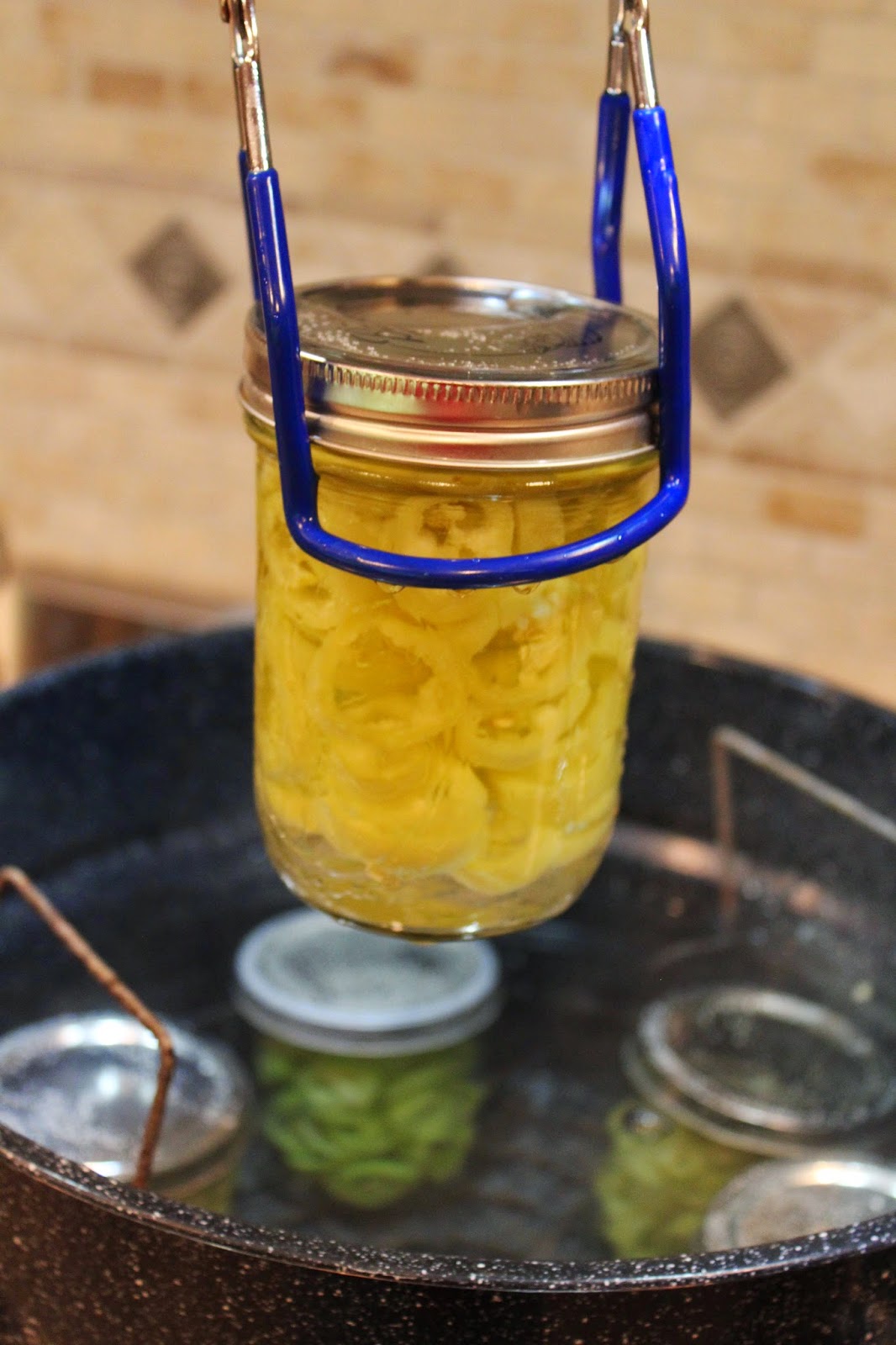 Ohio Thoughts Canning Hot Peppers