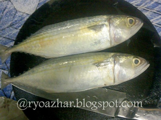 Ryo Ikan Kembung Rebus Kunyit