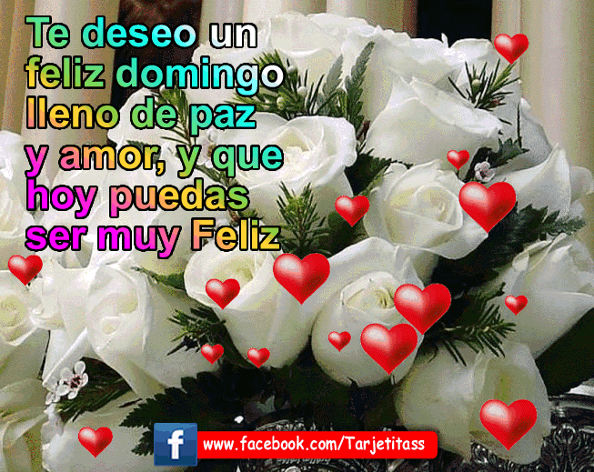 Resultado de imagen para GIFS ANIMADOS DE feliz domingo