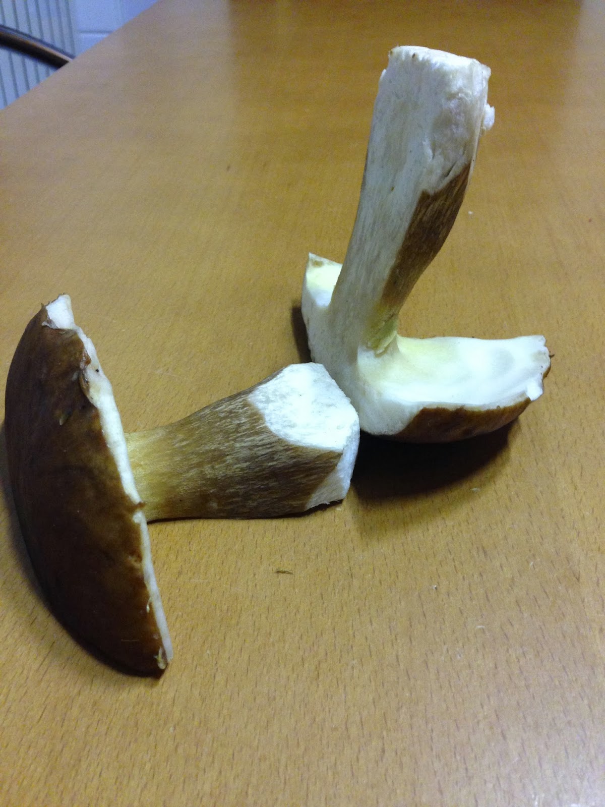 como se cocinan los boletus no solo las monjitas cocinan cosas ricas pimientos como se cocinan los boletus no solo las monjitas cocinan cosas ricas pimientos