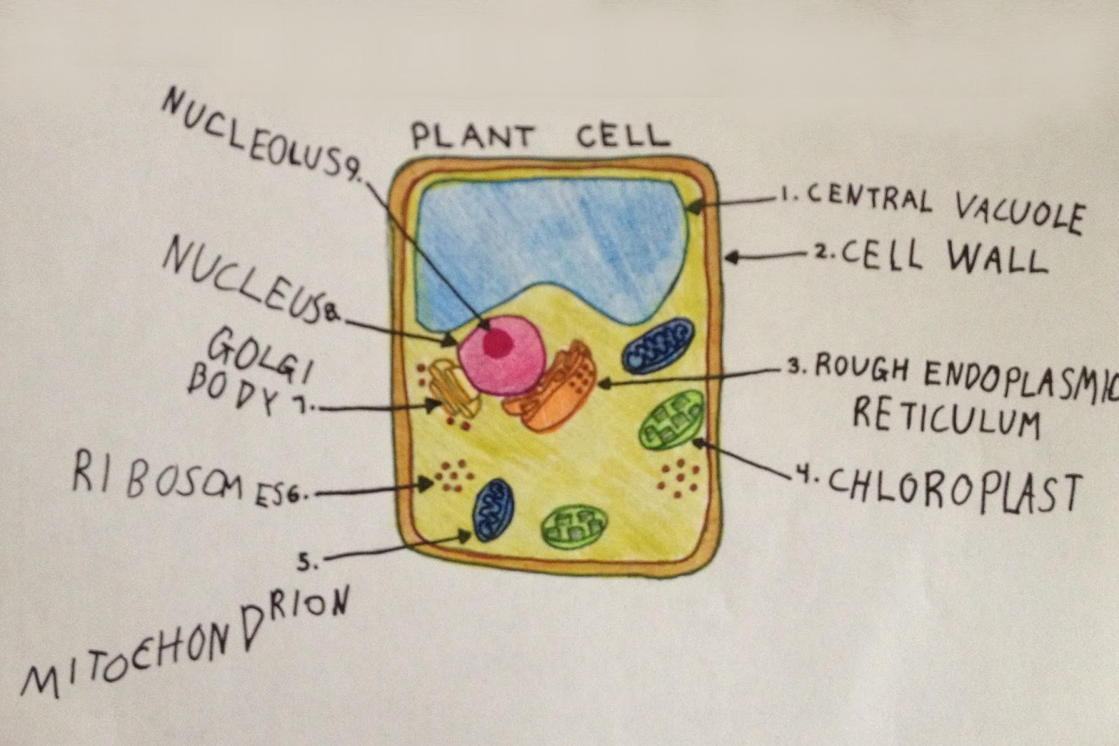 Peachy Skeen August 2015