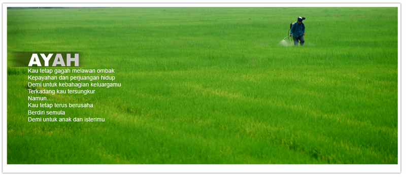 Jauharah Al Shiffa Aku Akan Terus Setia