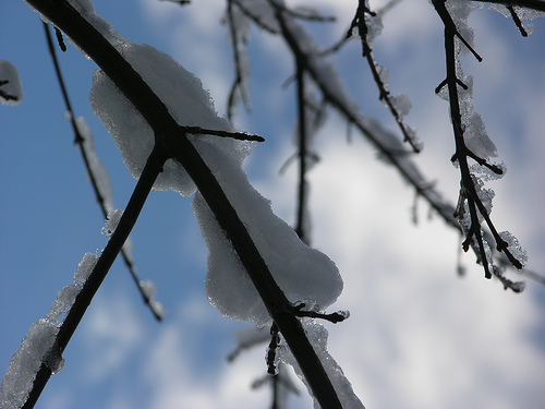 dust of snow