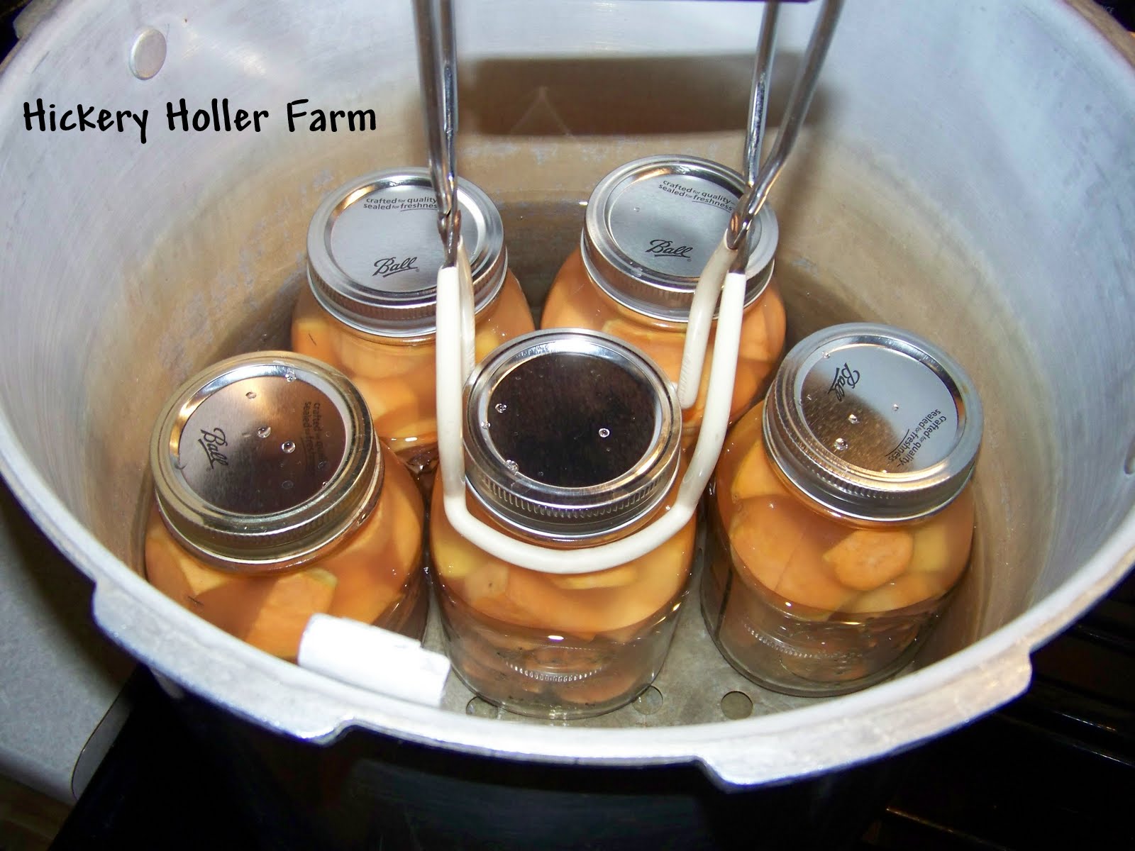 Hickery Holler Farm Canning Sweet Potatoes