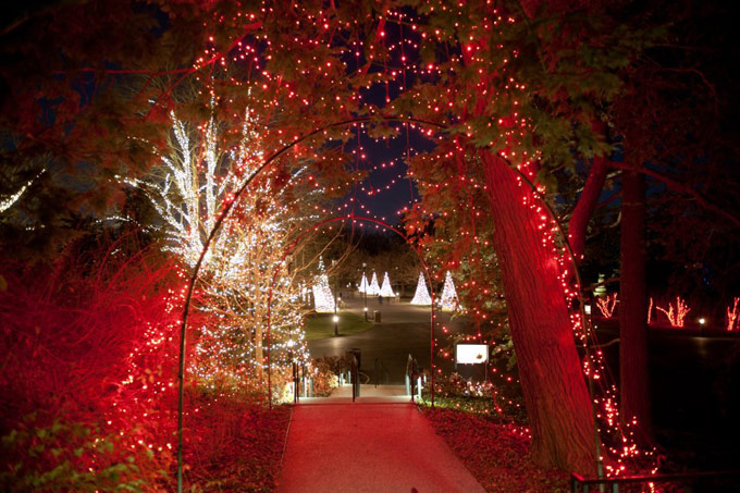 sociedade anônima jardins natalinos longwood gardens christmas at longwood gardens