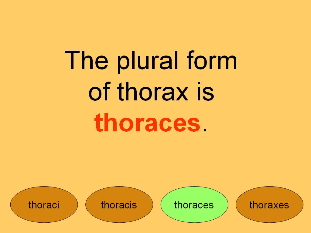 Student Survive 2 Thrive Free Medical Terminology Practice Test Plural Forms of Words