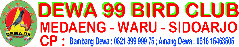 DEWA 99 BIRD CLUB ~ SIDOARJO