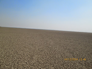 "LITTLE RANN OF KUTCH".