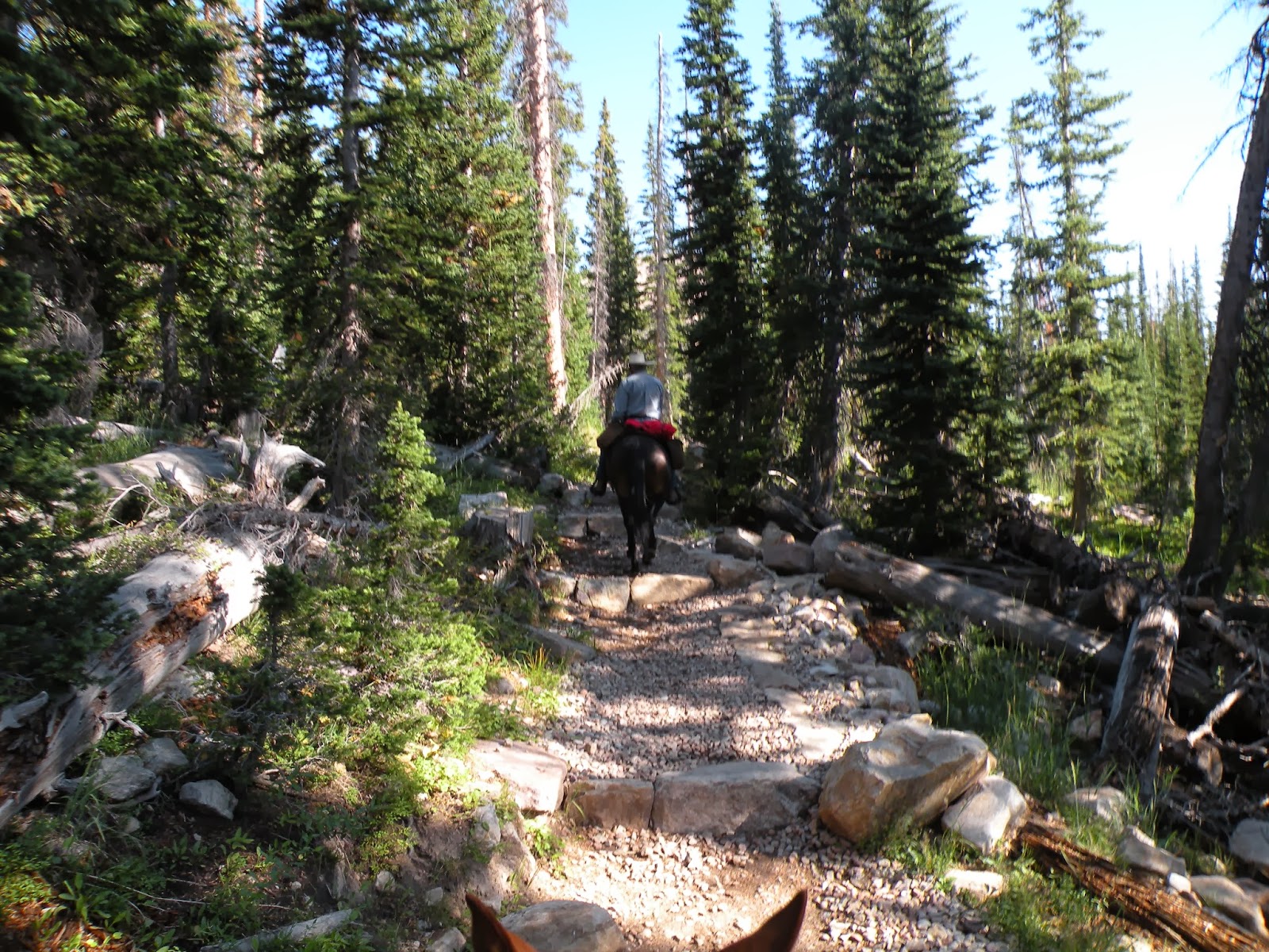 Dream Packer Trail Adventures Crystal Lake Trailhead, Wasatch Cache NF