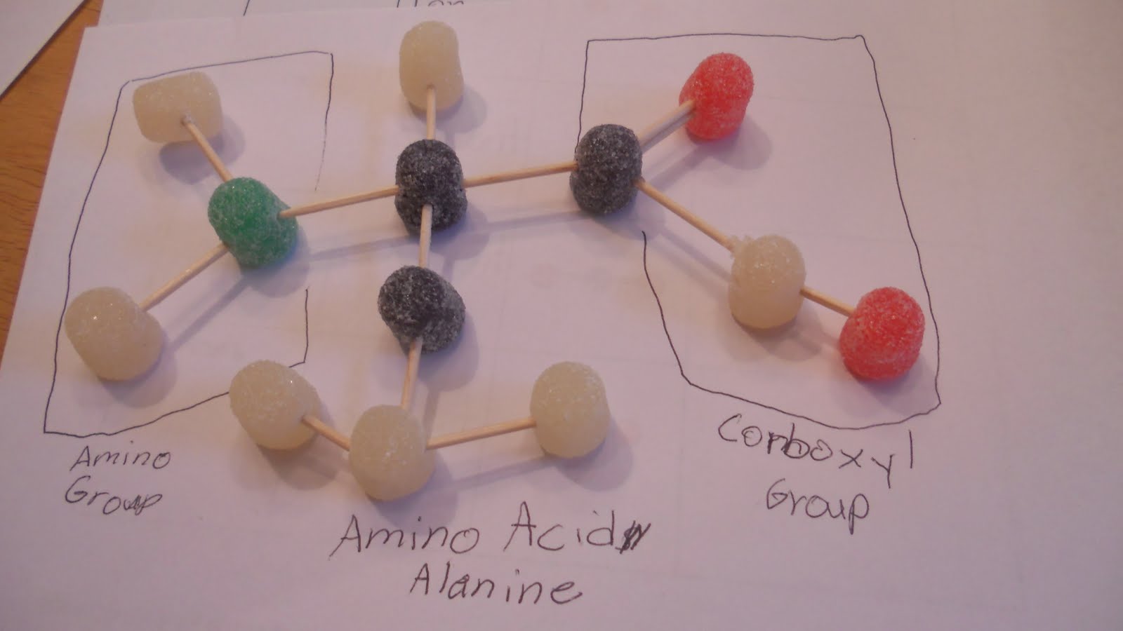 Hypothesis: Homeschool: Gumdrop Molecules