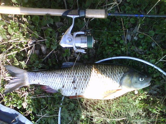 Вложенный файл: