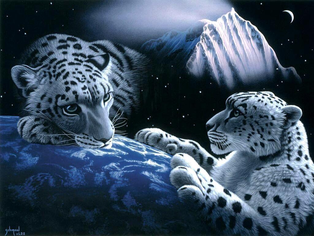 http://2.bp.blogspot.com/-XtUX8ImSz9I/UARYMI7aysI/AAAAAAAAACw/dqT35vZuCmU/s1600/tigre+blanco.jpg