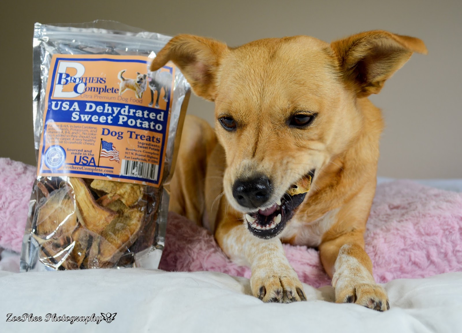 ZoePhee Brothers Complete Premium Dog Food Review