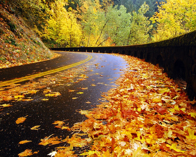 Autumn-pictures-+Wallpaper-Photos-gallery-2011-032