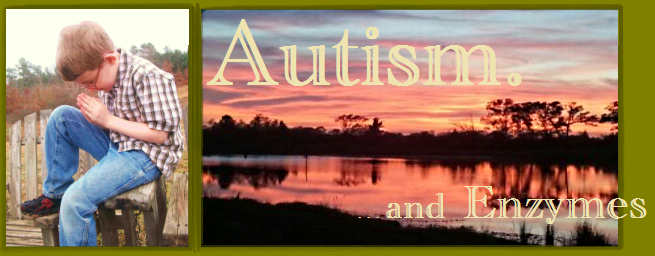 Autism and Enzymes