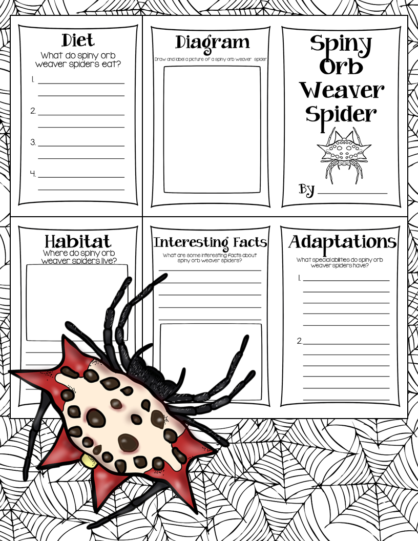 https://www.teacherspayteachers.com/Product/Spider-Research-Books-1716282