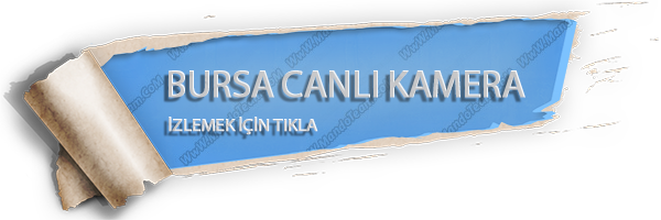 mandoteam bursa mobesa kameralari canli izle 7 24