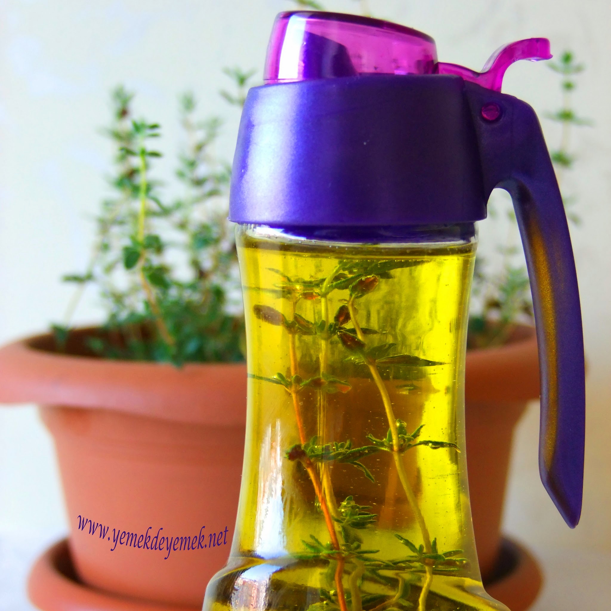 yemek de yemek evde kekikli zeytinyagi yapimi