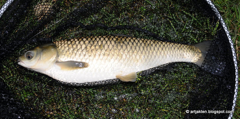 dejtingsidor presentation youtube