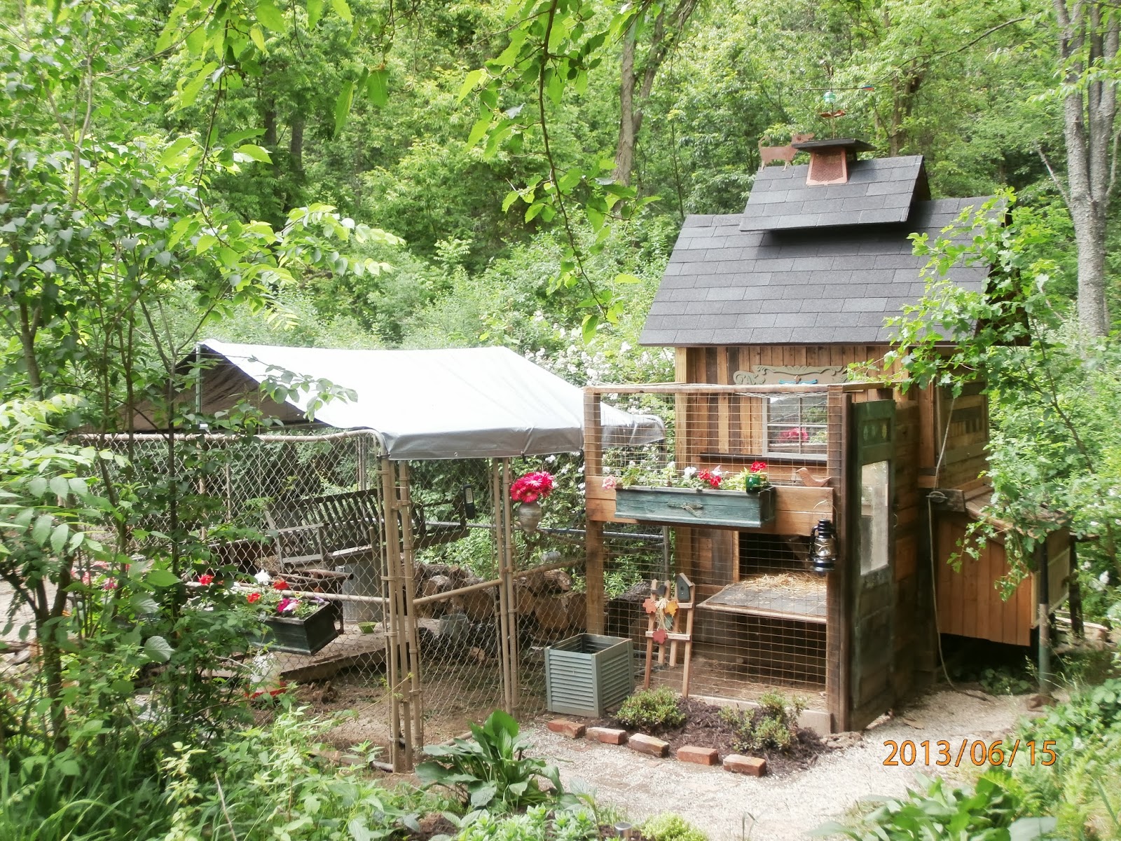 Cool Coops! Double Deck Chicken Coop Community Chickens