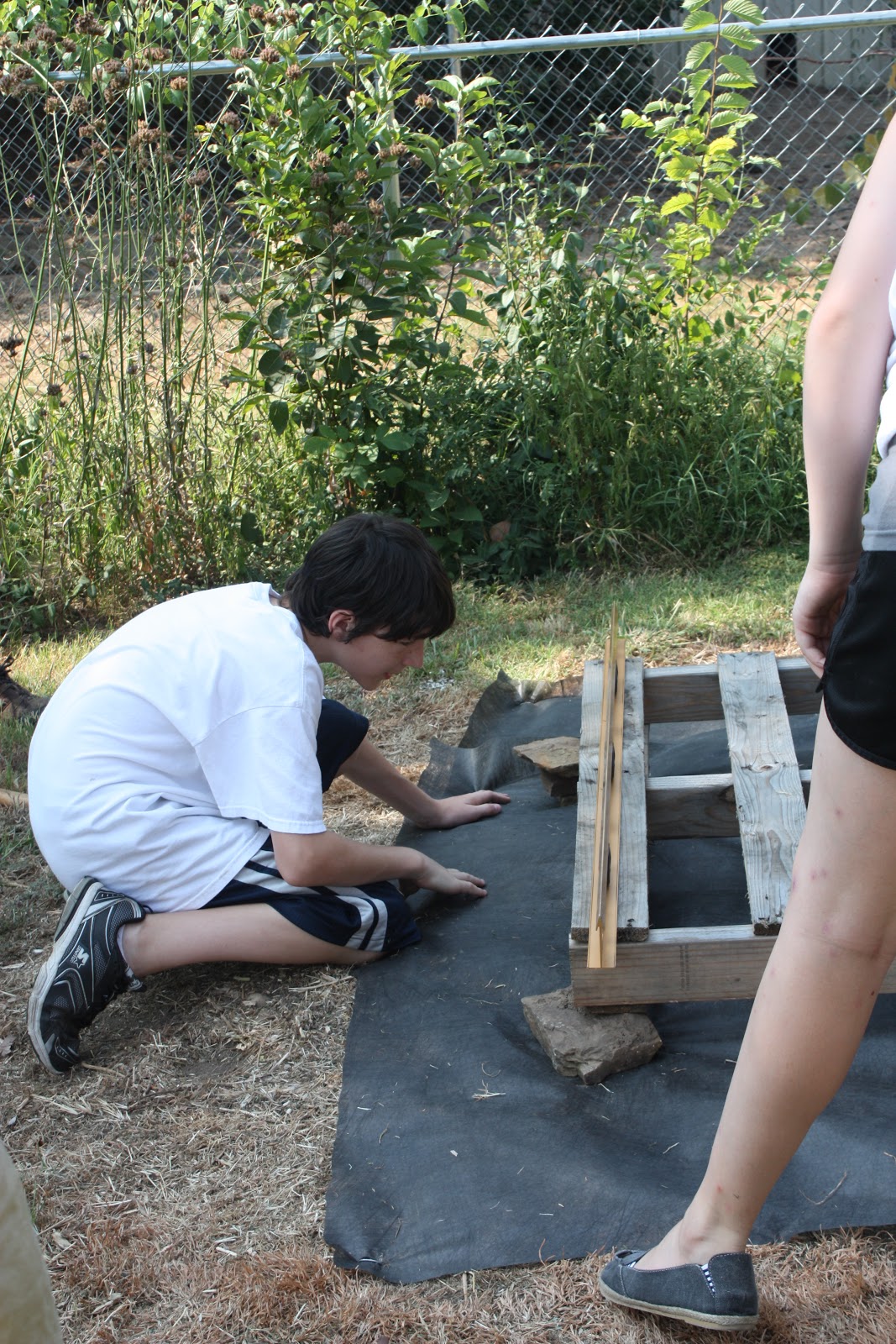 Insect Habitat build one for your garden