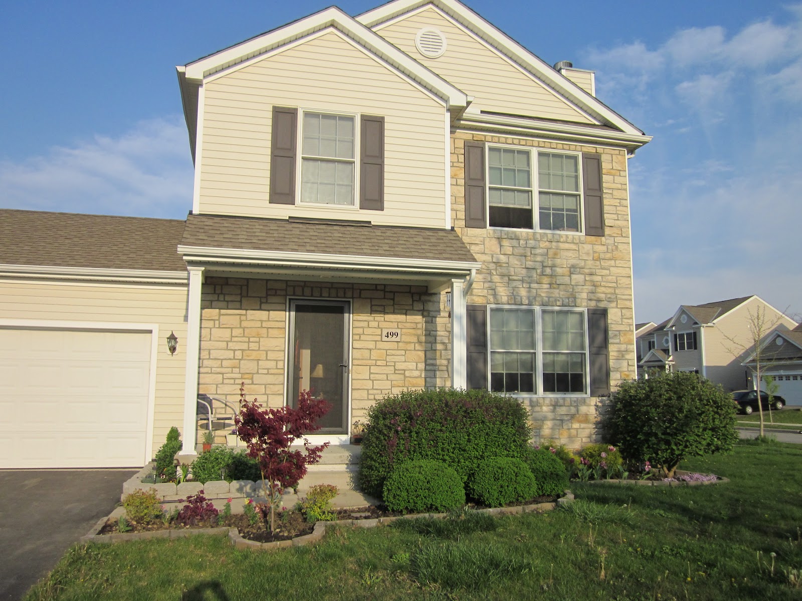 Who Plants Bushes In Front Of A Window The Joy Blog