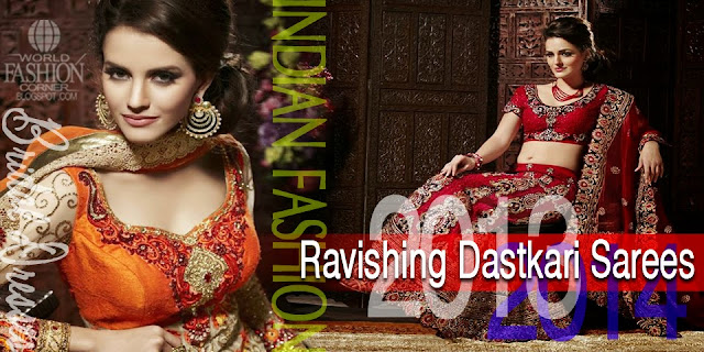 Ravishing Dastkati Sarees 2013-2014 - Banner