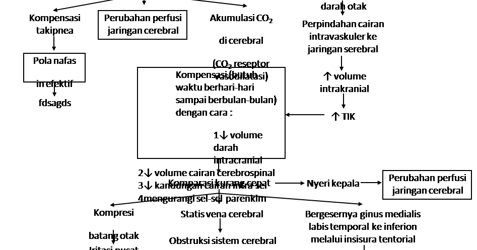 BLOG SUKA-SUKA: PATHWAY TUMOR OTAK