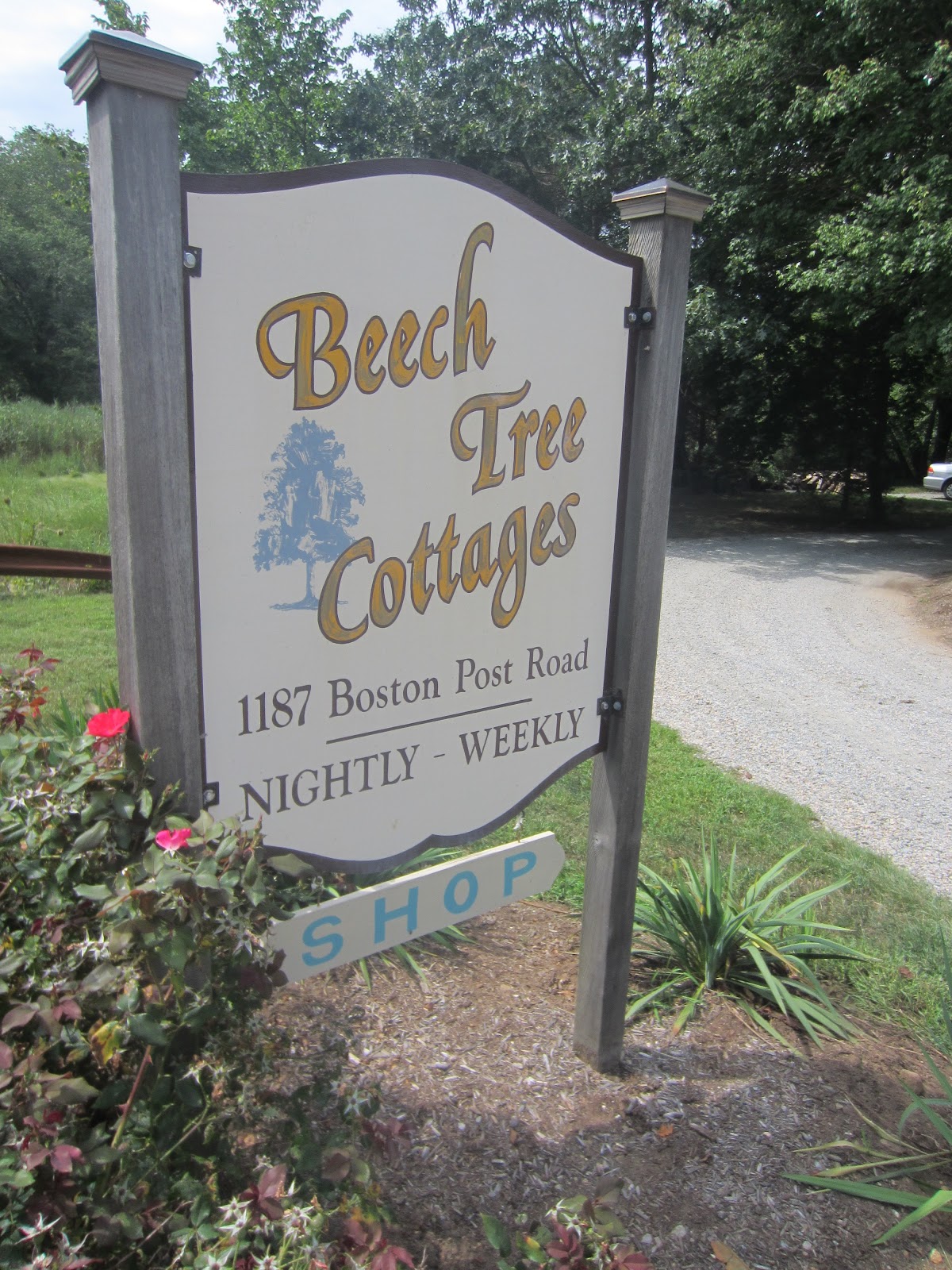 THE BEECH TREE COTTAGES (a tiny house/cottage compound