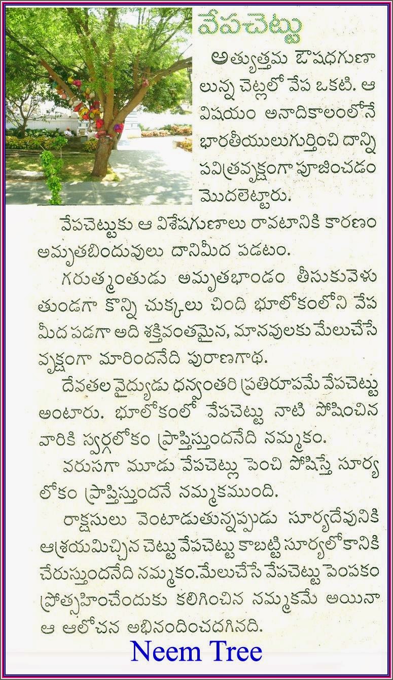 The College Admissions Essay Landmark College, essay meaning in