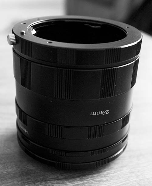 Dexter Mejia DIY diffuser for macro photography