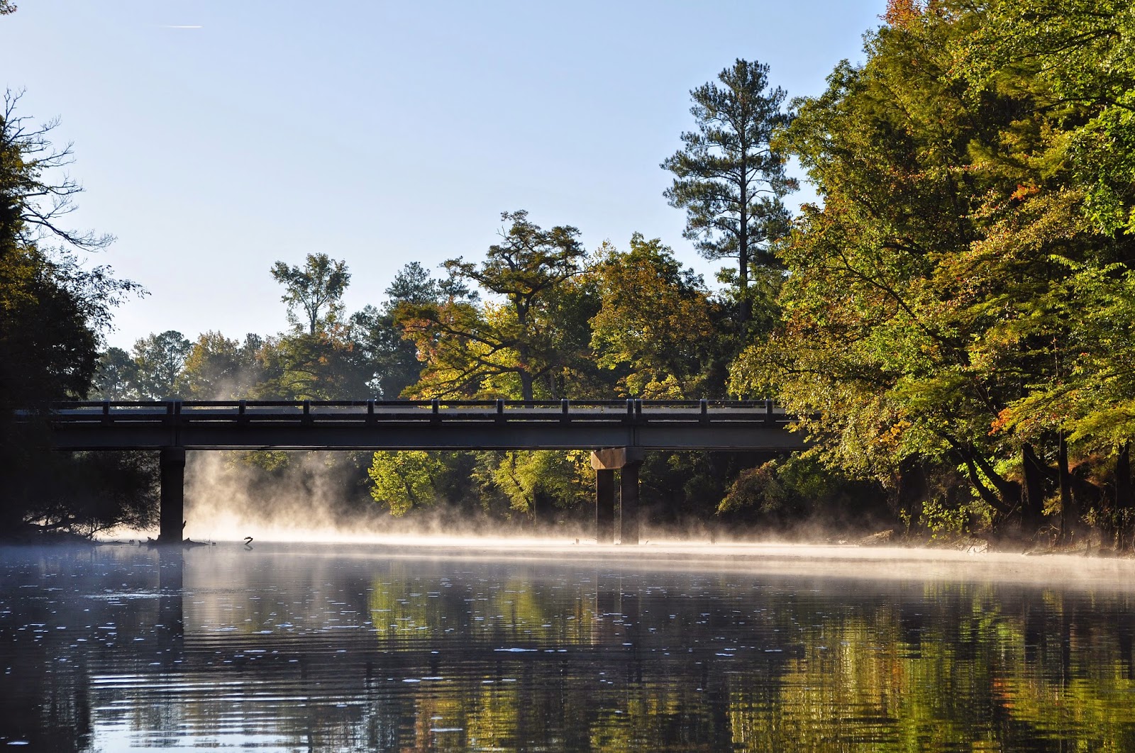A Tidewater Paddler Nottoway River, Peter's Bridge 10/5/14